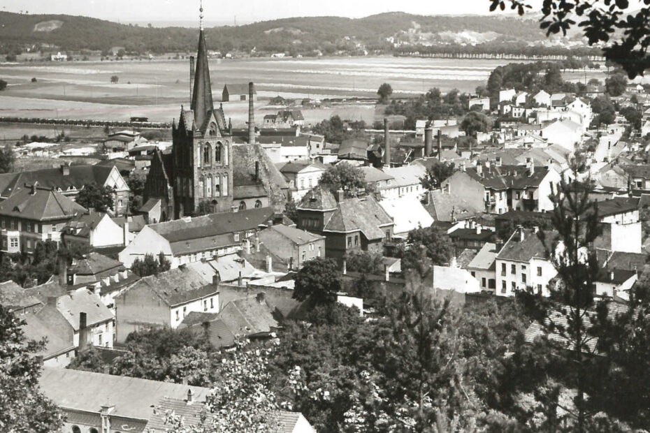 Aufnahme von Bad Freienwald vom Schlossberg. Im Vordergrund sind einzelne Sträucher zu sehen im Hintergrund die Stadt, darunter viele Häuser und ein herausragender Kirchtum.