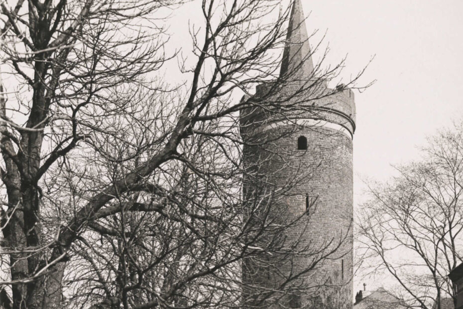 Großer Turm mit hoch heraussragender Spitze zu sehen. Der Turm wird zu Teilen verdeckt von einem kahlen Baum.