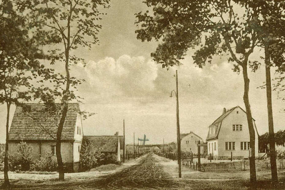 Bild aus einer Siedlung in Erkner aus 1928. Straße mit rechts und links kleineren, alleinstehenden Häuser. Im Vordergrund stehen 4 schlacksige Bäume.